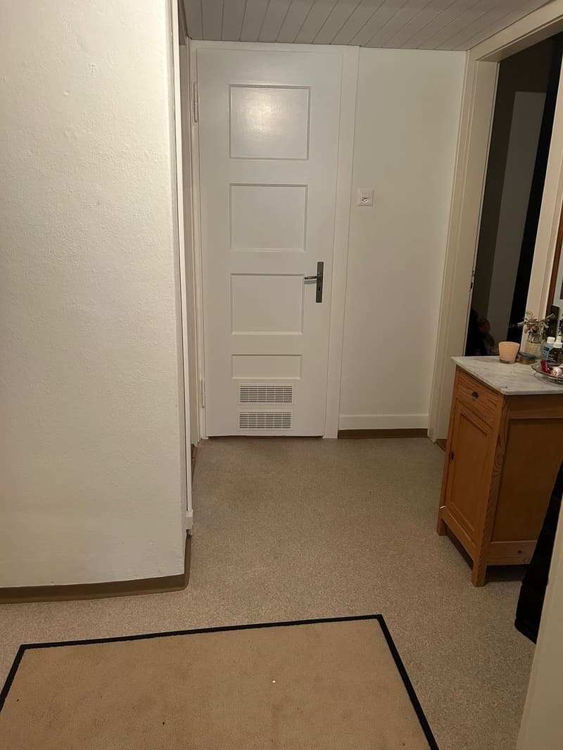 3 Zimmer Wohnung im Kreis 4 (6)