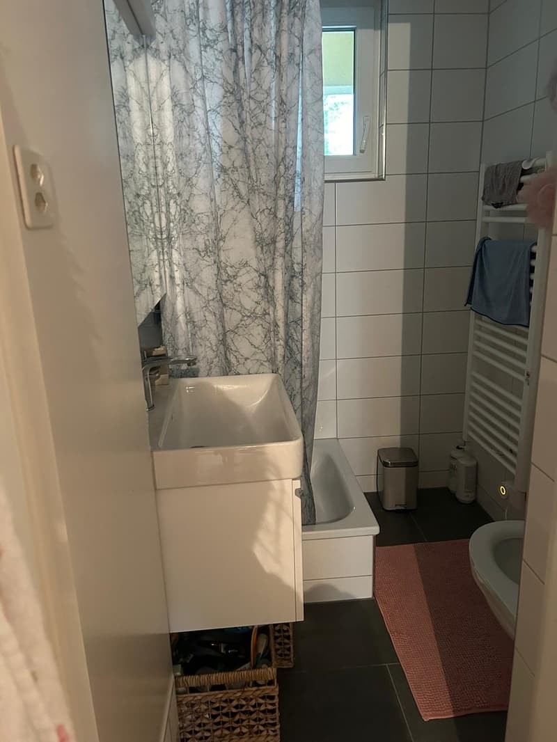 3 Zimmer Wohnung im Kreis 4 (1)