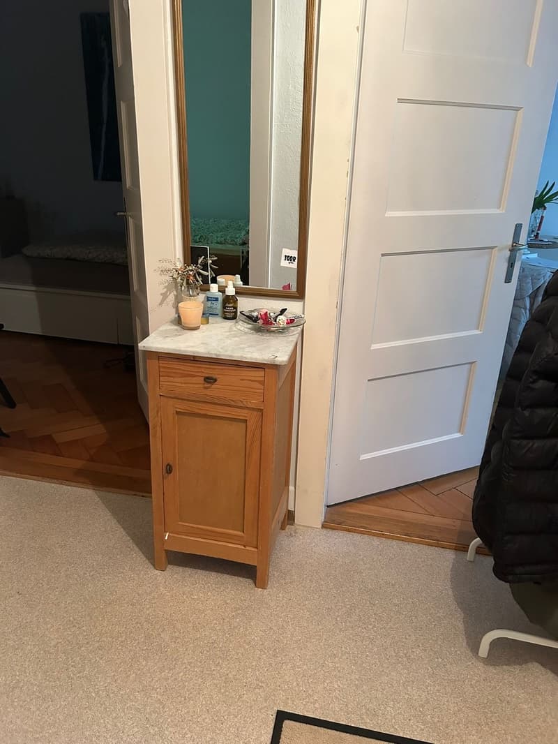3 Zimmer Wohnung im Kreis 4 (5)