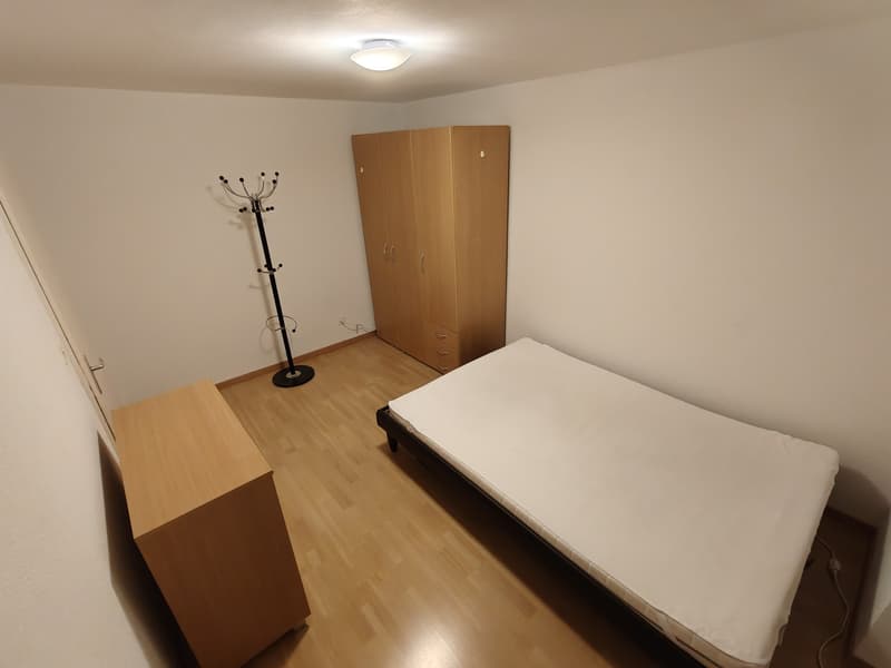 Furnished Room in 4-Room Apartment (3)