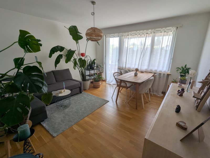 Möblierte 3-Zimmer-Wohnung zur Untermiete (1)