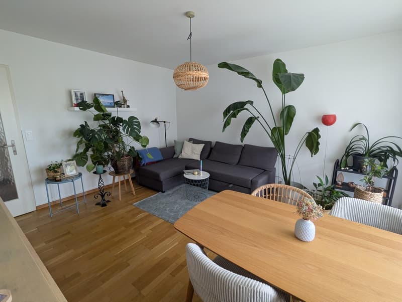 Möblierte 3-Zimmer-Wohnung zur Untermiete (2)