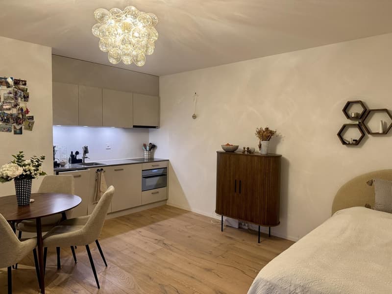 moderne, nach Süden ausgerichtete Wohnung an zentraler und ruhiger Lage zu vermieten (5)