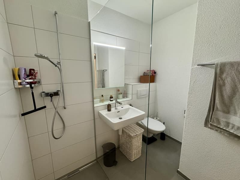 moderne, nach Süden ausgerichtete Wohnung an zentraler und ruhiger Lage zu vermieten (4)