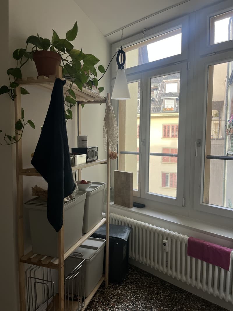 3.5 Zimmer Altbauwohnung (5)