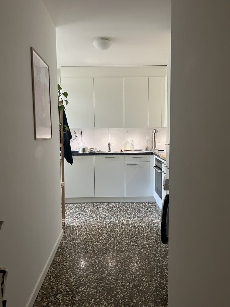 3.5 Zimmer Altbauwohnung (7)