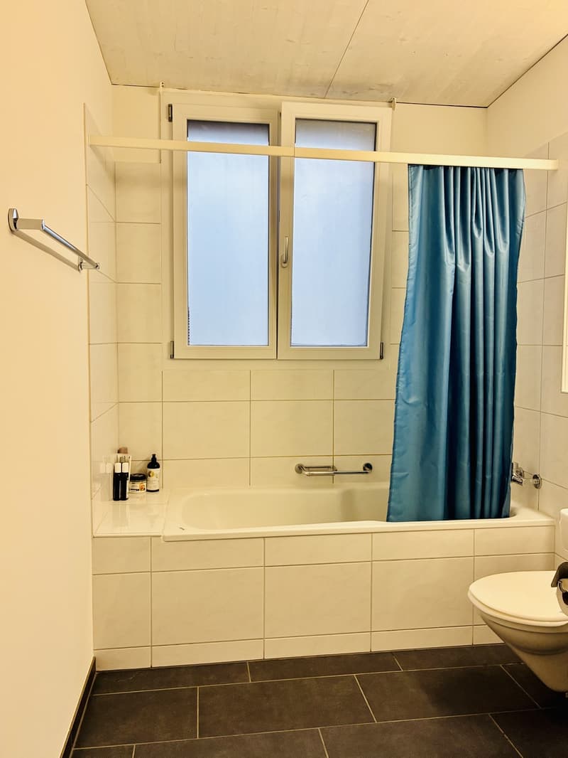 Gemütliche 2.5-Zimmer-Wohnung mit Balkon (7)