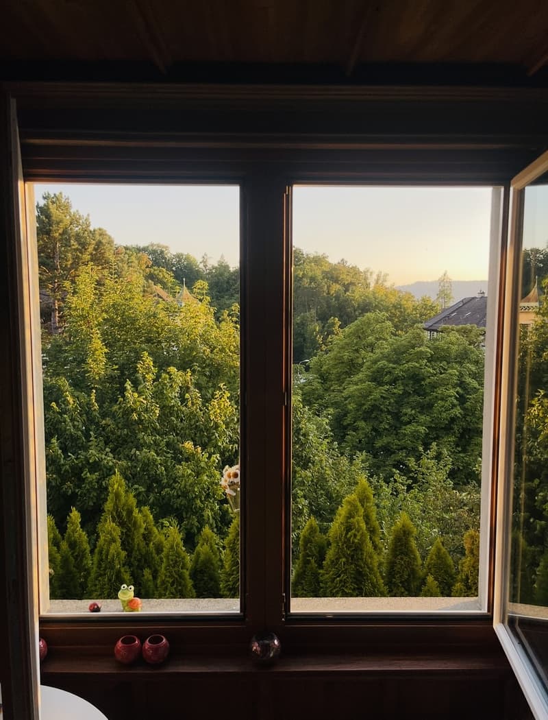 Helles und gemütliches Einzelzimmer in 4.5-Zimmer-Wohnung in Zürich-Hottingen  befristet für 6 Monate (Verlängerung allenfalls möglich) (2)
