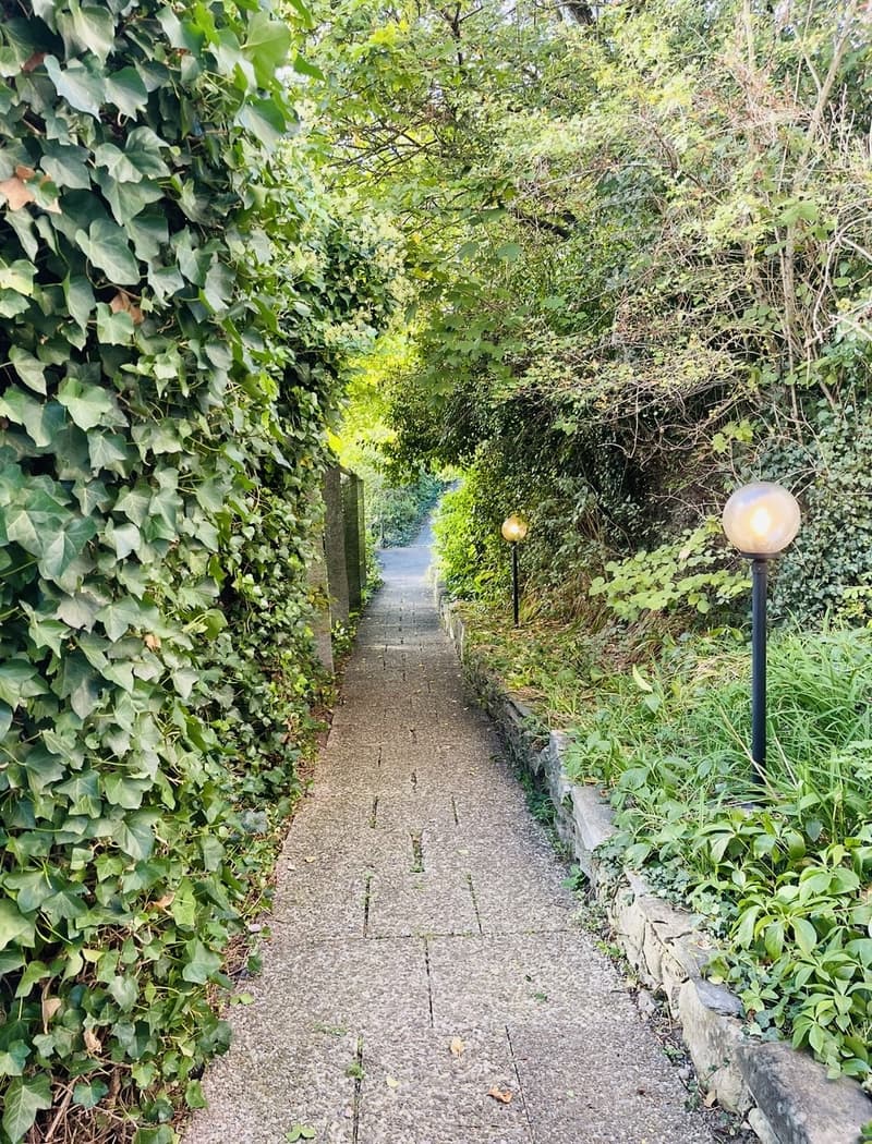 Helles und gemütliches Einzelzimmer in 4.5-Zimmer-Wohnung in Zürich-Hottingen  befristet für 6 Monate (Verlängerung allenfalls möglich) (11)