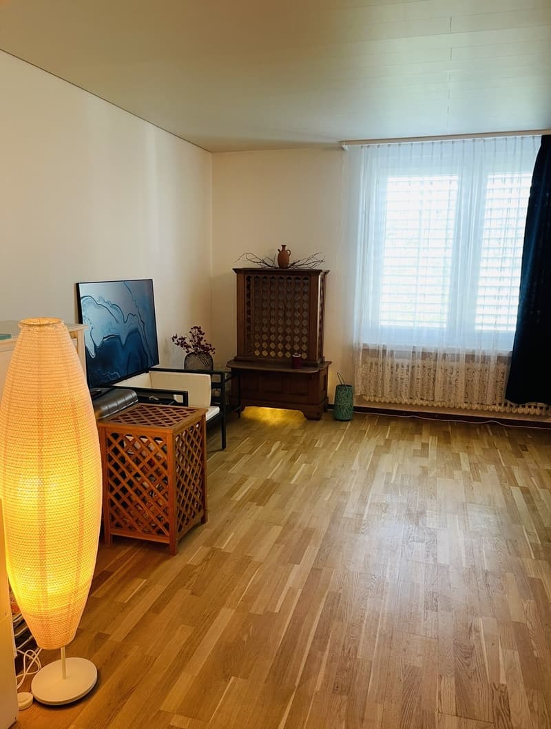 Helles und gemütliches Einzelzimmer in 4.5-Zimmer-Wohnung in Zürich-Hottingen  befristet für 6 Monate (Verlängerung allenfalls möglich) (5)