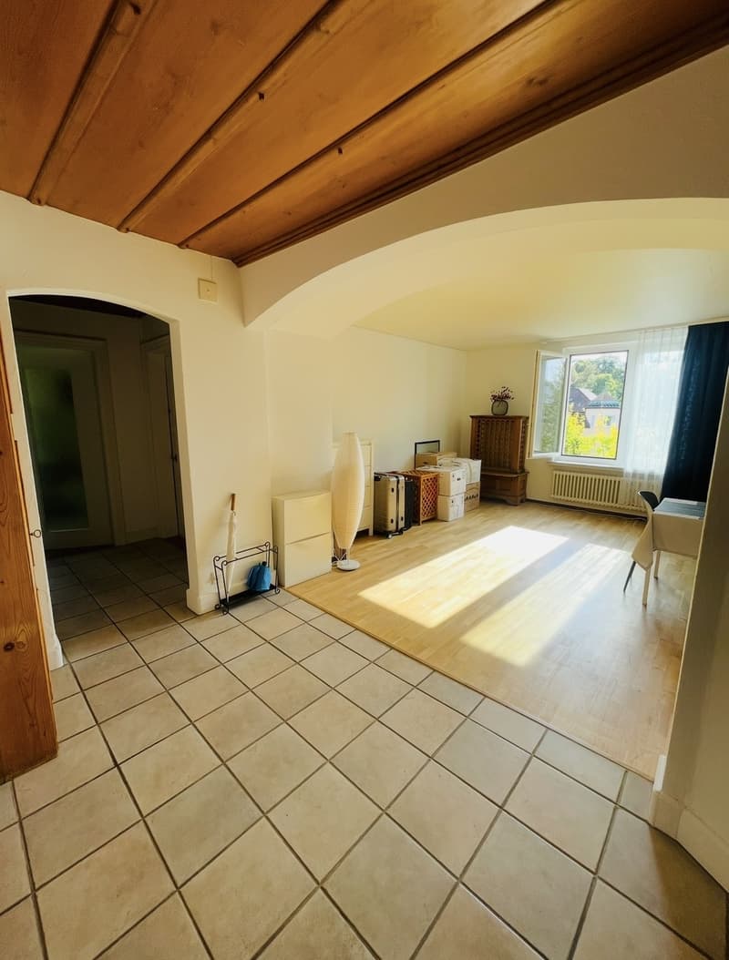 Helles und gemütliches Einzelzimmer in 4.5-Zimmer-Wohnung in Zürich-Hottingen  befristet für 6 Monate (Verlängerung allenfalls möglich) (8)