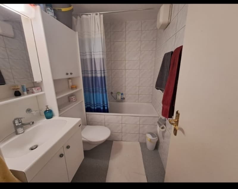 WG Zimmer in Schlieren (3)