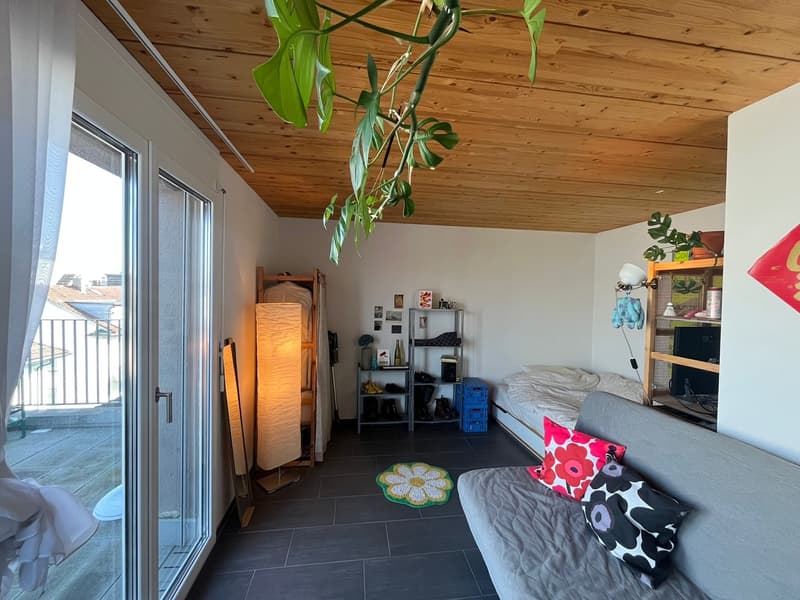 Studio centre of Zurich (1)