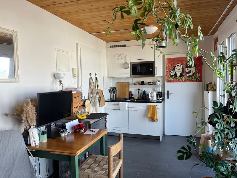 Studio centre of Zurich (3)