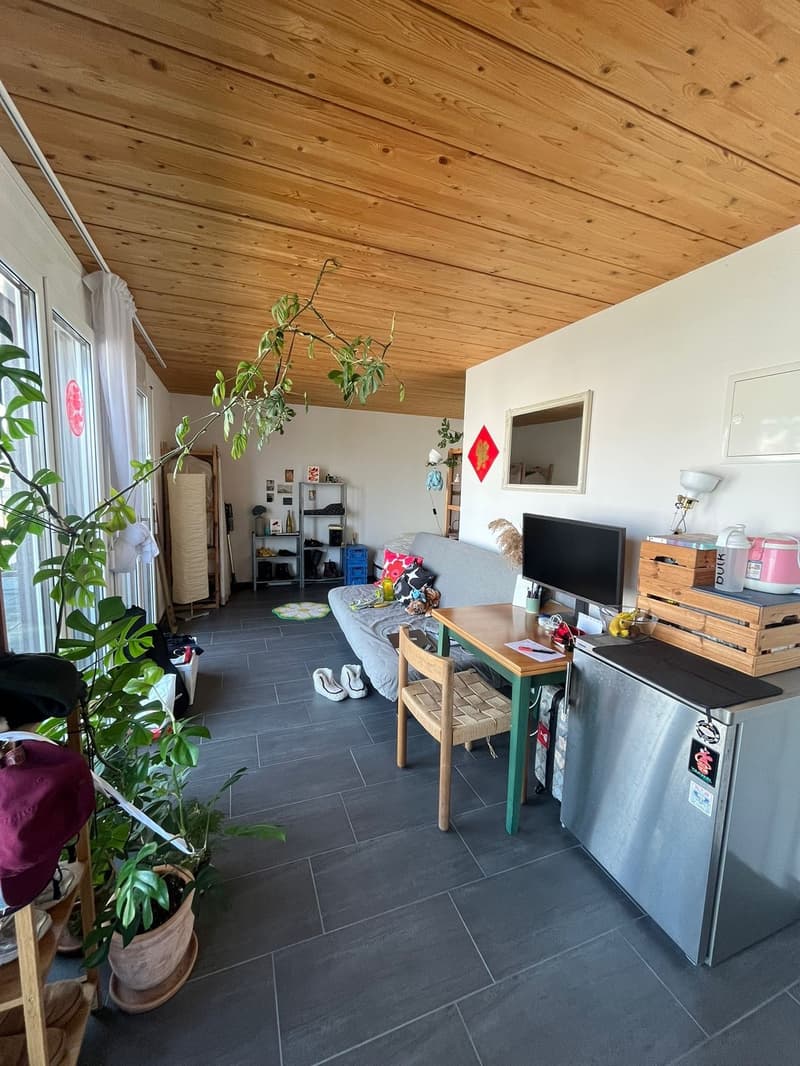 Studio centre of Zurich (5)