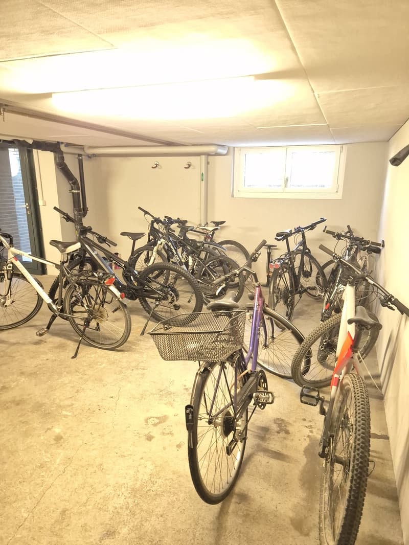 3 Zimmerwohnung im EG - Übernahme vorzugsweise ab dem 15.10.2026 (6)