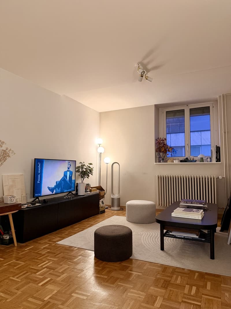 Prime Location | 2.5 rooms in the heart of Geneva Quai des Bergues (1)