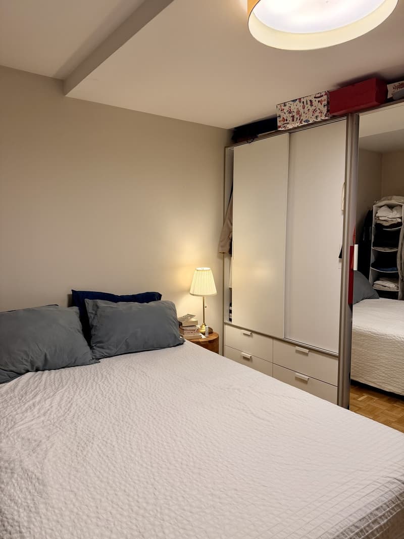Prime Location | 2.5 rooms in the heart of Geneva Quai des Bergues (6)