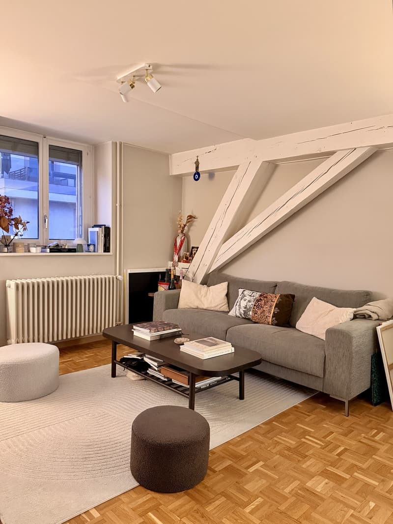 Prime Location | 2.5 rooms in the heart of Geneva Quai des Bergues (4)