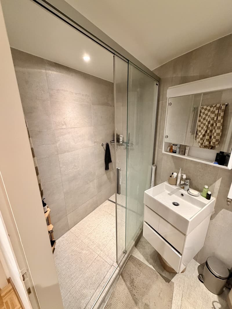 Prime Location | 2.5 rooms in the heart of Geneva Quai des Bergues (5)
