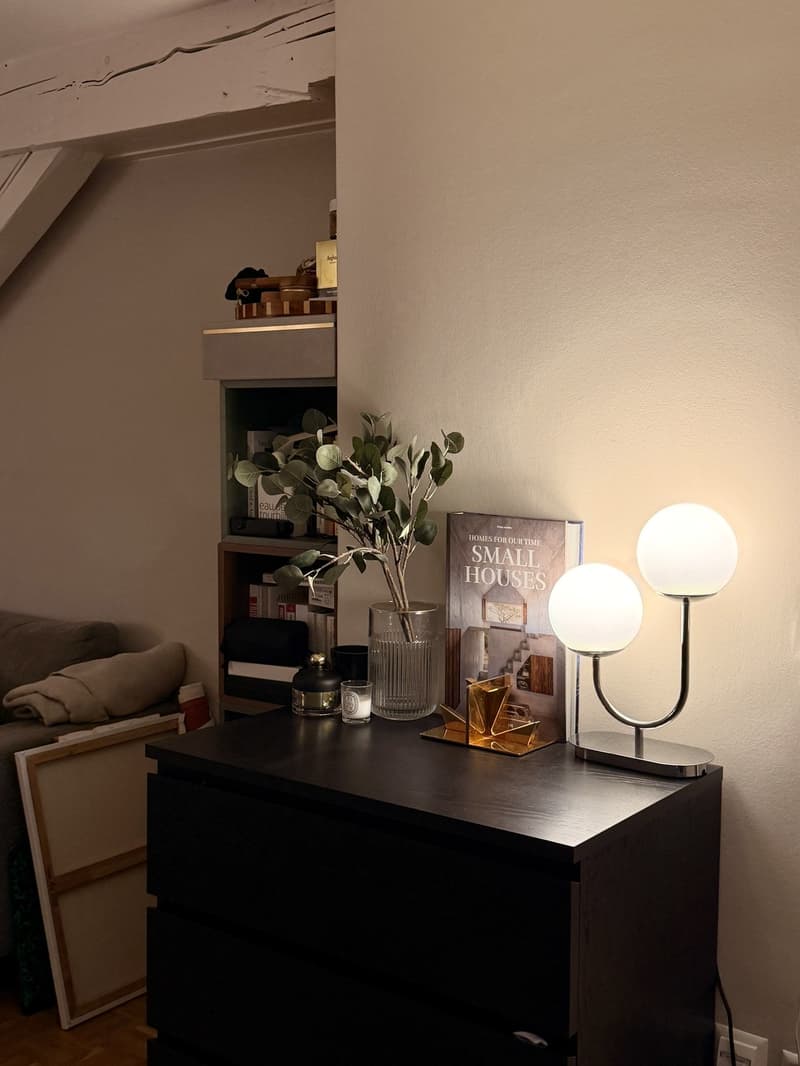 Prime Location | 2.5 rooms in the heart of Geneva Quai des Bergues (3)