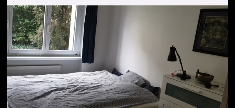Temporary Sublet / Zwischenmiete: Fully Furnished 2-Room Apartment / Voll möblierte 2-Zimmer-Wohnung in Oerlikon | 23 Nov 2026 1 Jan 2027 (6)