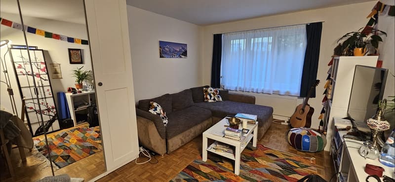 Temporary Sublet / Zwischenmiete: Fully Furnished 2-Room Apartment / Voll möblierte 2-Zimmer-Wohnung in Oerlikon | 23 Nov 2026 1 Jan 2027 (3)