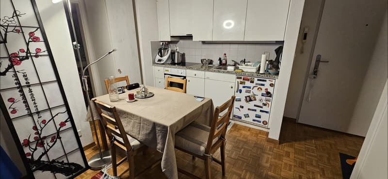 Temporary Sublet / Zwischenmiete: Fully Furnished 2-Room Apartment / Voll möblierte 2-Zimmer-Wohnung in Oerlikon | 23 Nov 2026 1 Jan 2027 (4)