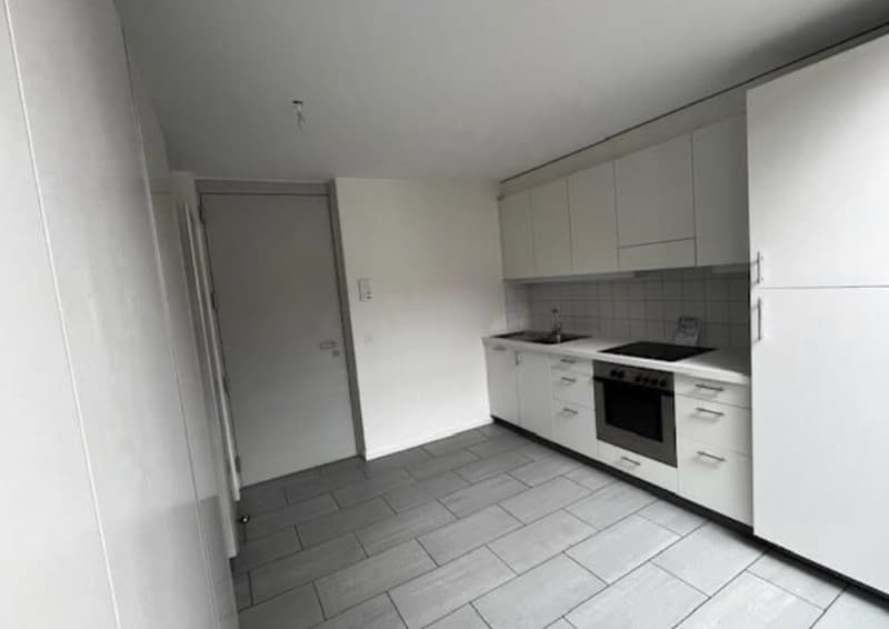 Loft au coeur de Lausanne (1)