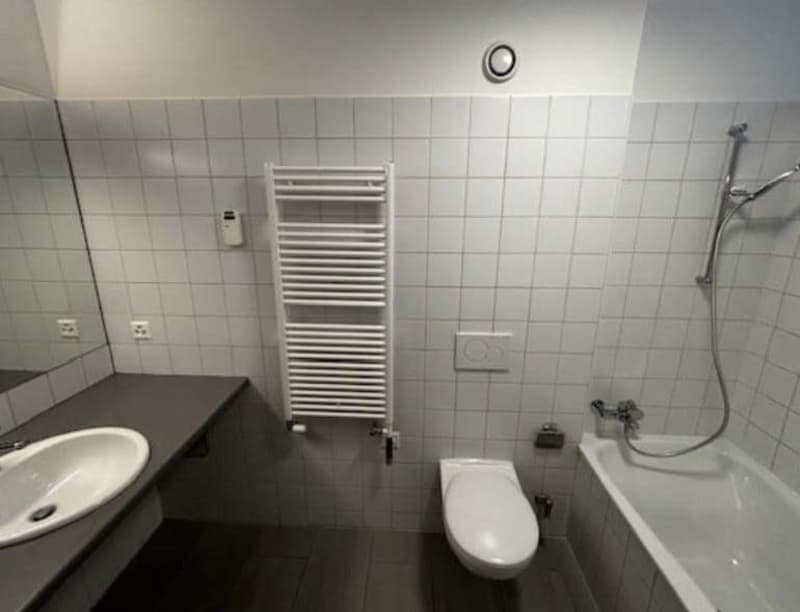 Loft au coeur de Lausanne (6)