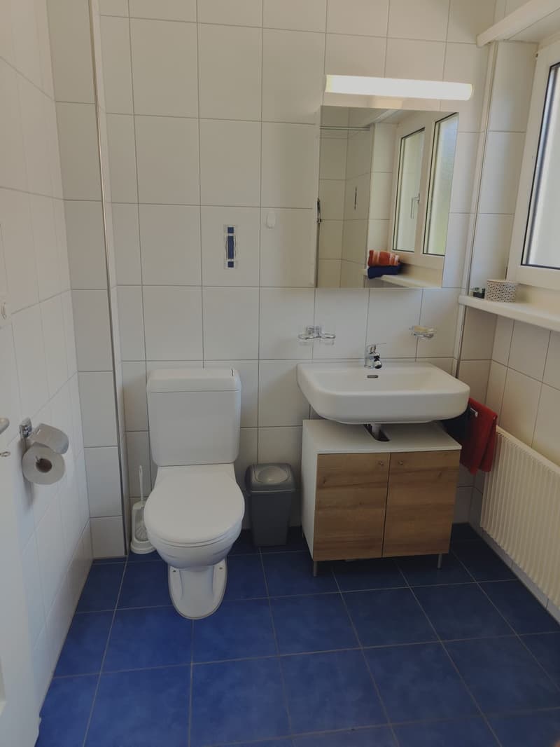 Tolle WG-Zimmer in der Natur und doch zentral gelegen. (6)