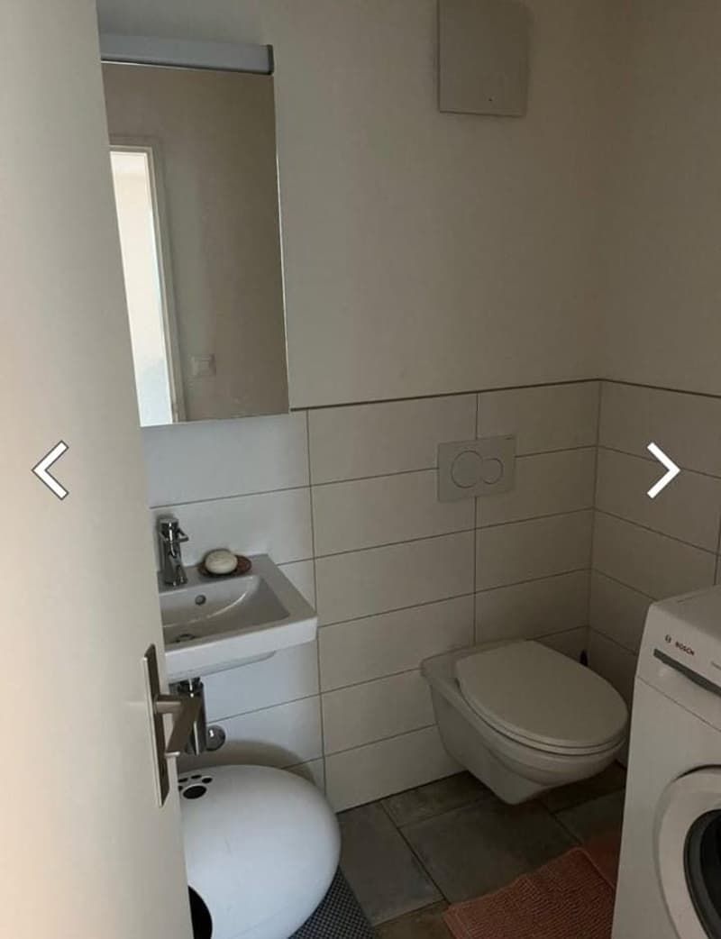 Wohnung in Schwerzenbach, Nachmieter gesucht (7)