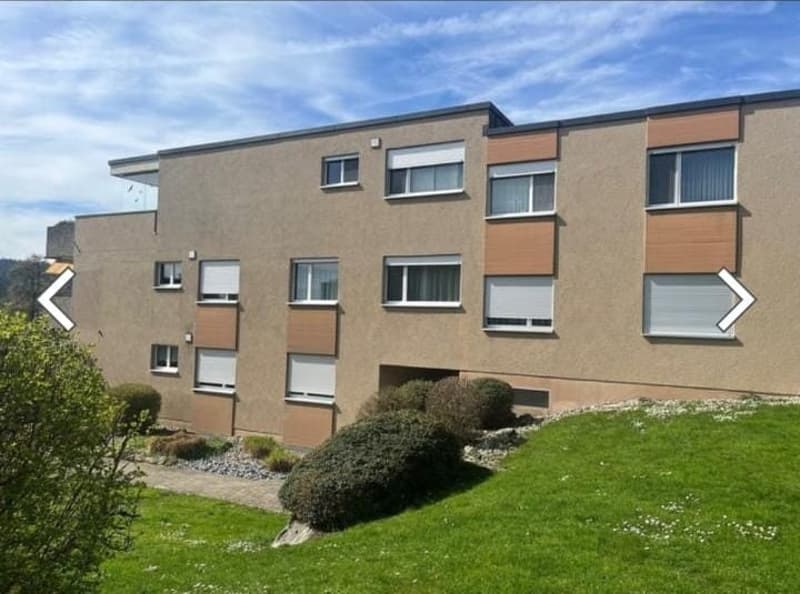 Wohnung in Schwerzenbach, Nachmieter gesucht (2)