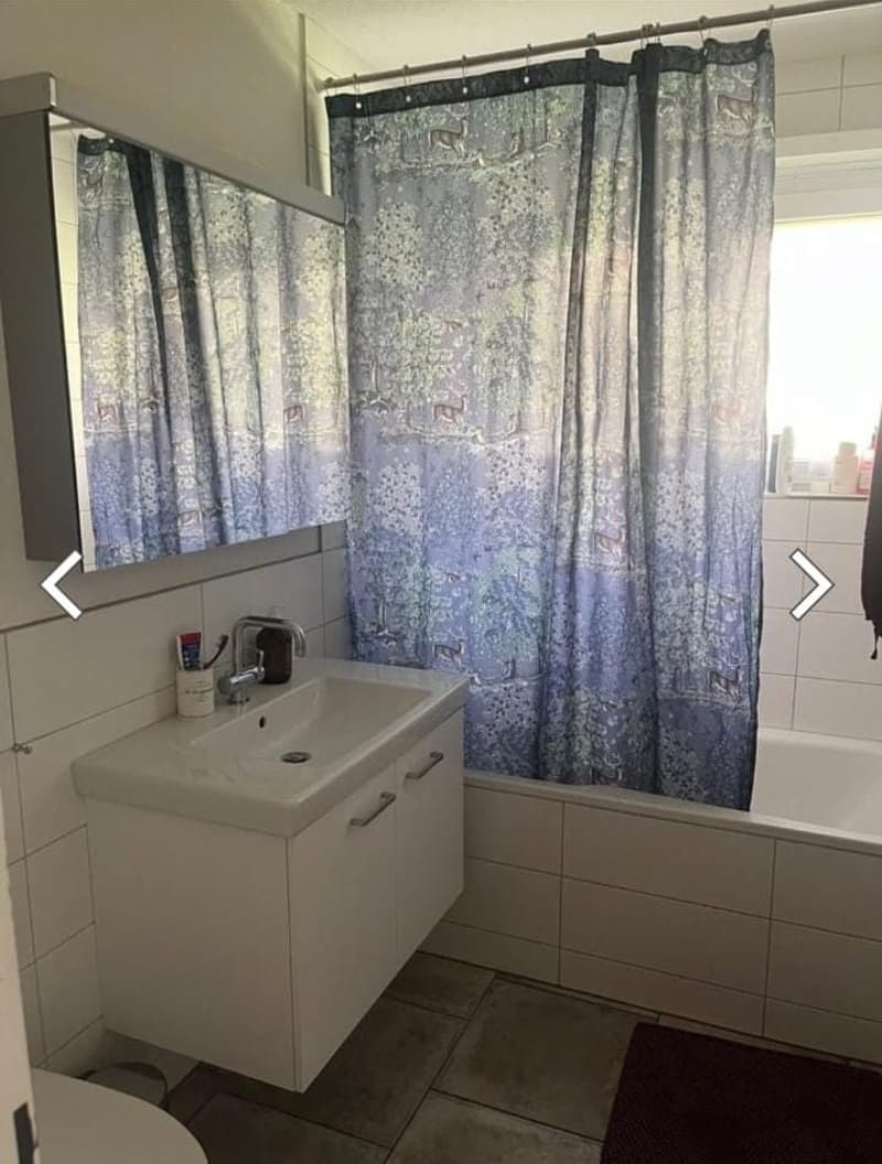 Wohnung in Schwerzenbach, Nachmieter gesucht (6)