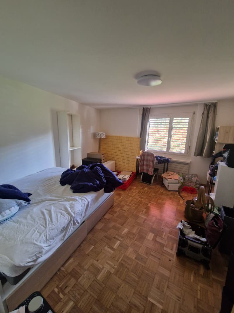 Schönes Zimmer zu vermieten (1)
