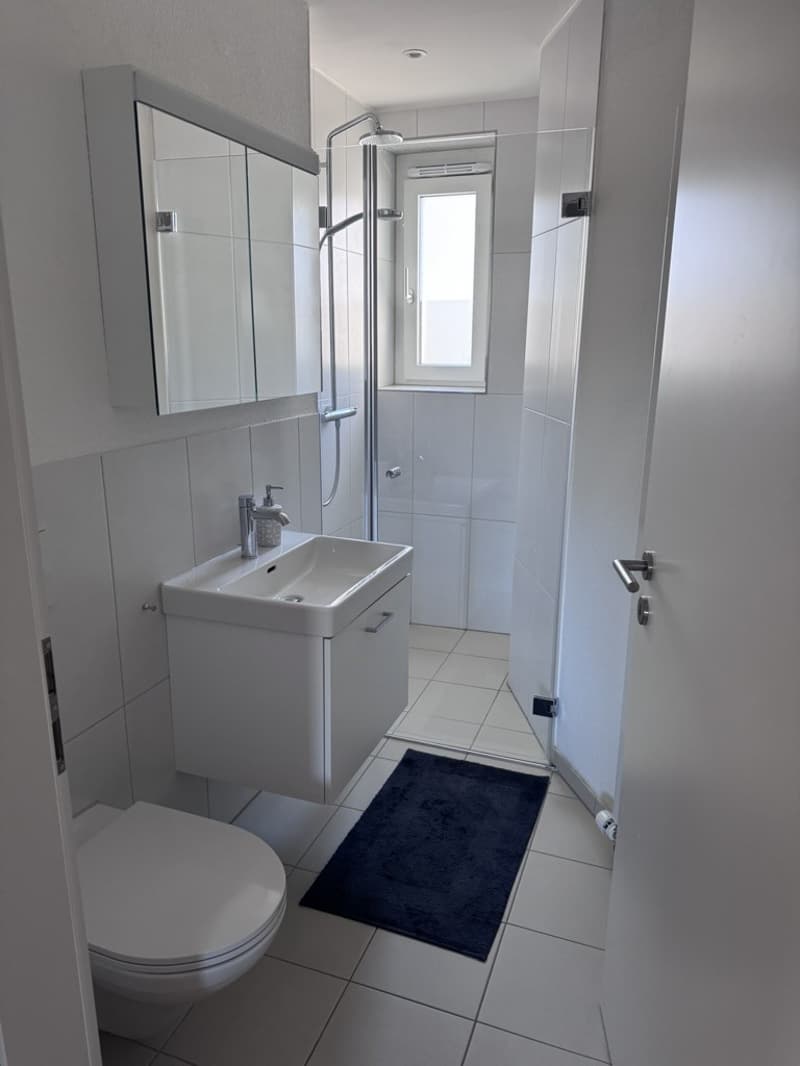 Helle, zentral gelegene 3.5-Zimmer-Wohnung 2022 renoviert (7)