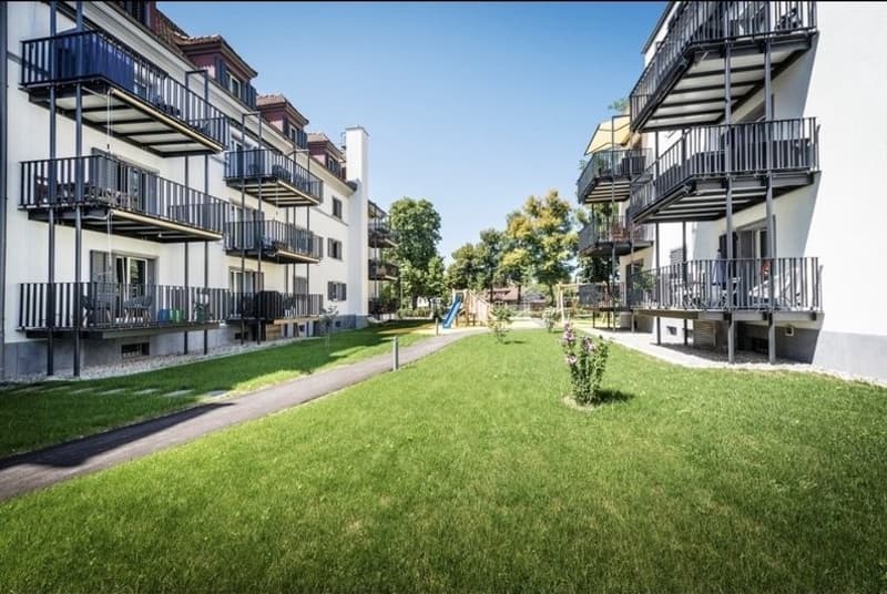 2.5 Zimmer Wohnung in Winterthur Töss (2)
