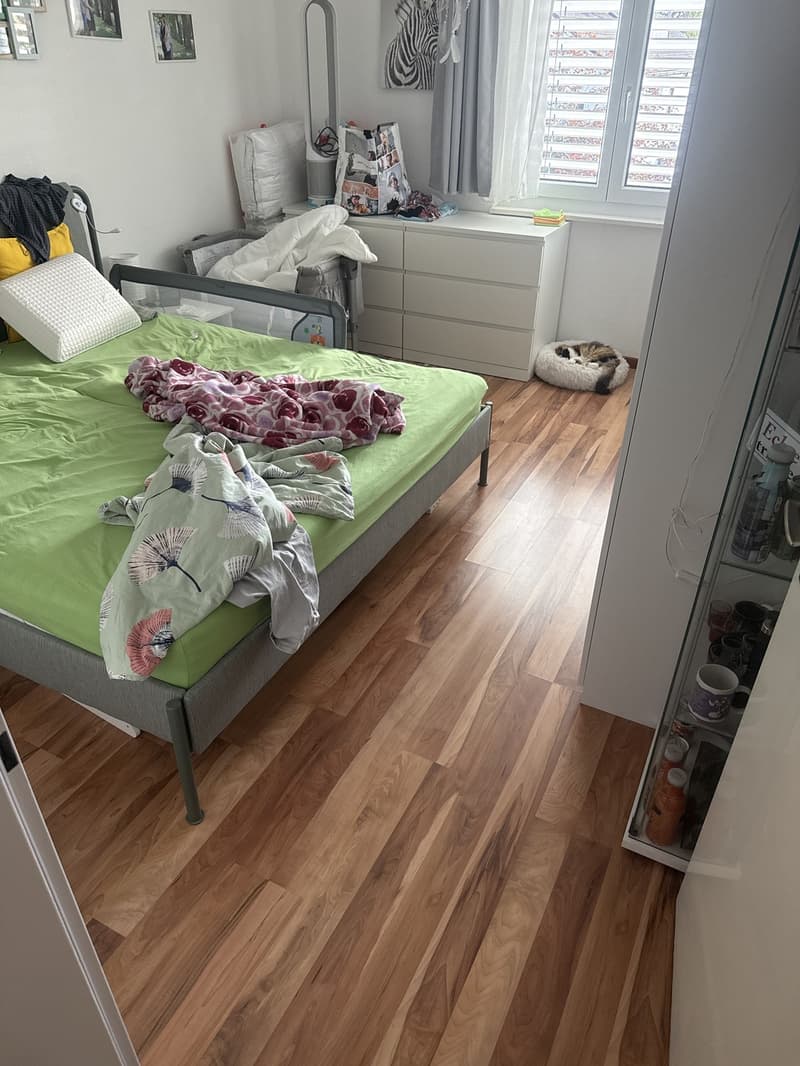 Nachmieter gesucht für eine gemütliche Wohnunh (7)