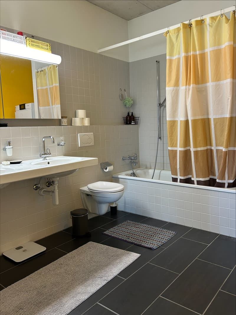 Befristete möblierte 3.5 Zimmer Wohnung am Katharina-Sulzer-Platz (9)