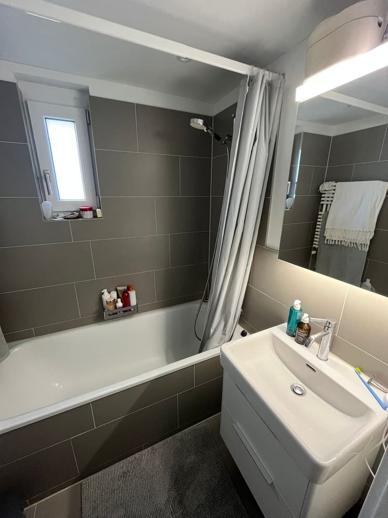 Schöne Wohnung oberhalb von Kilchberg (3)
