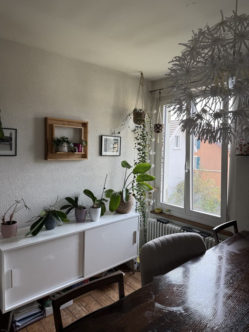Charmante kleine 4-Zimmerwohnung (Altbau) (4)