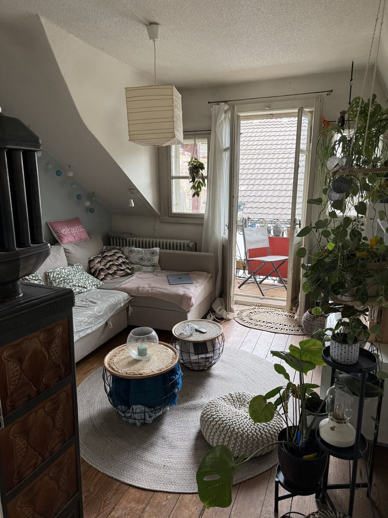 Charmante kleine 4-Zimmerwohnung (Altbau) (1)