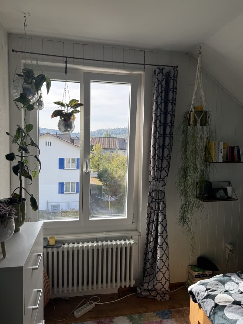 Charmante kleine 4-Zimmerwohnung (Altbau) (6)