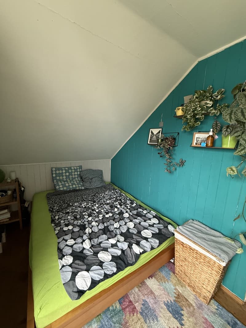 Charmante kleine 4-Zimmerwohnung (Altbau) (3)