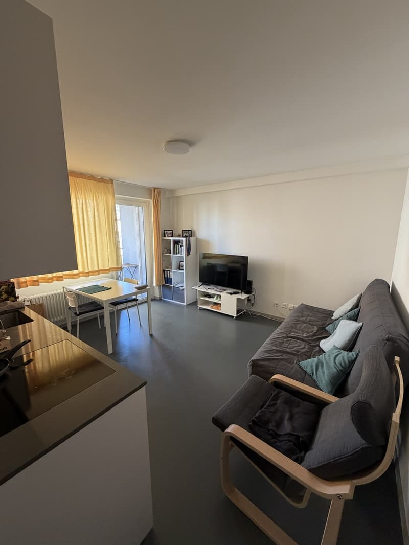 Appartamento soleggiato di 2.5 locali con balcone a Lugano Disponibile da novembre 2026 (4)
