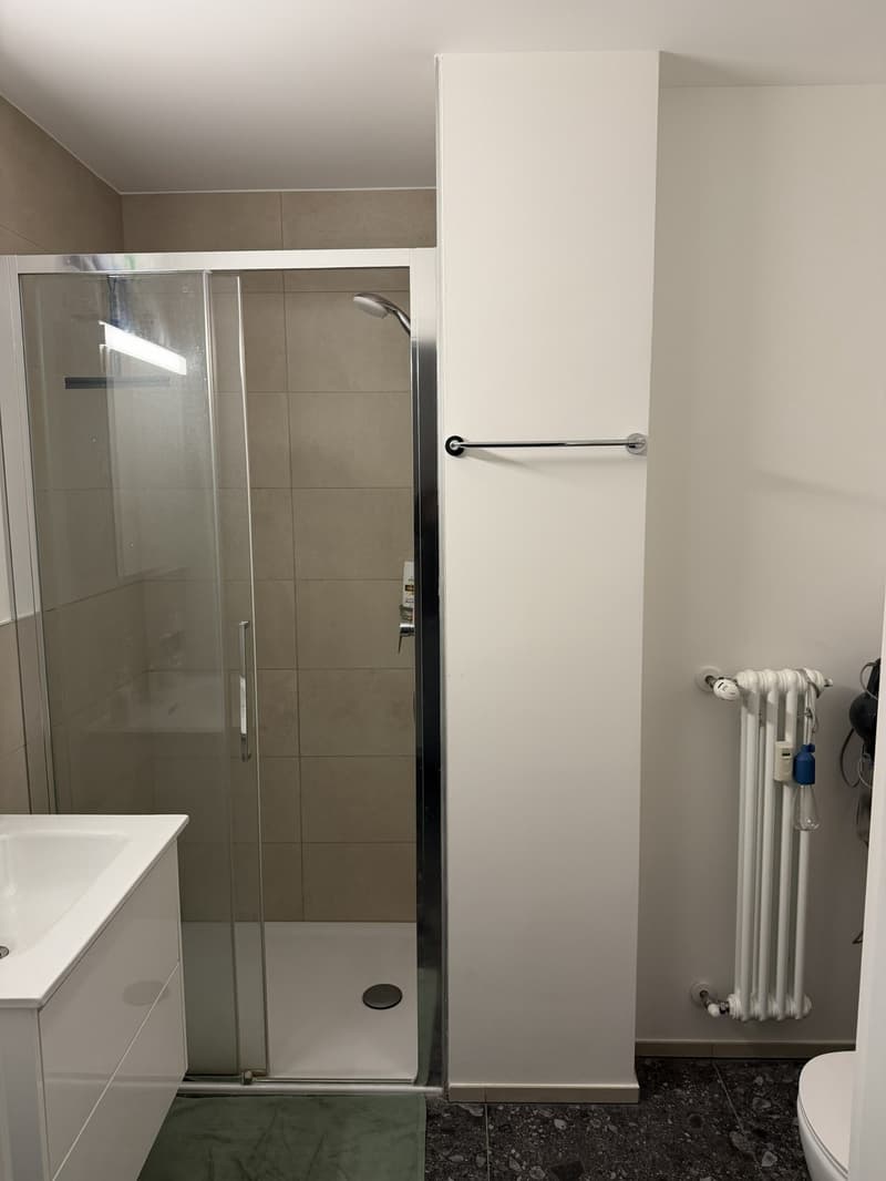 Appartamento soleggiato di 2.5 locali con balcone a Lugano Disponibile da novembre 2026 (3)