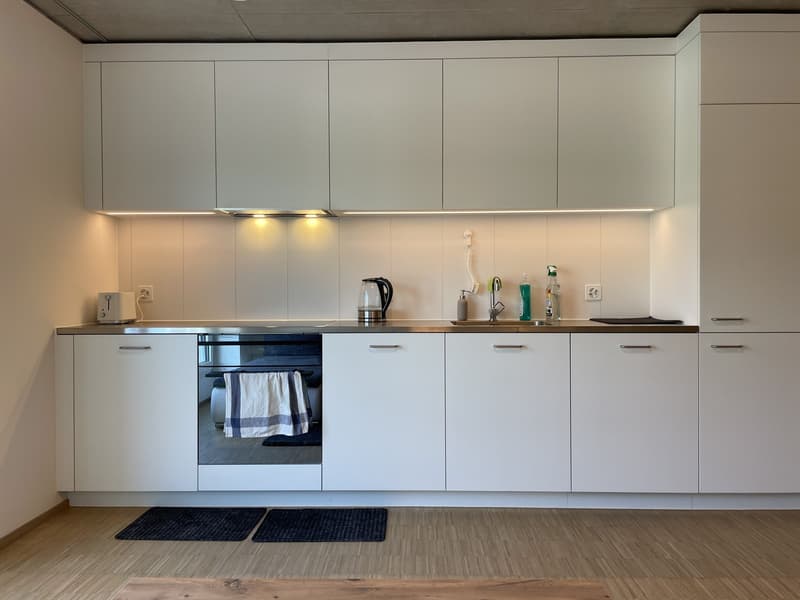 *Temporary 21.10 -20.12.26, 2 months, entire flat* (3)