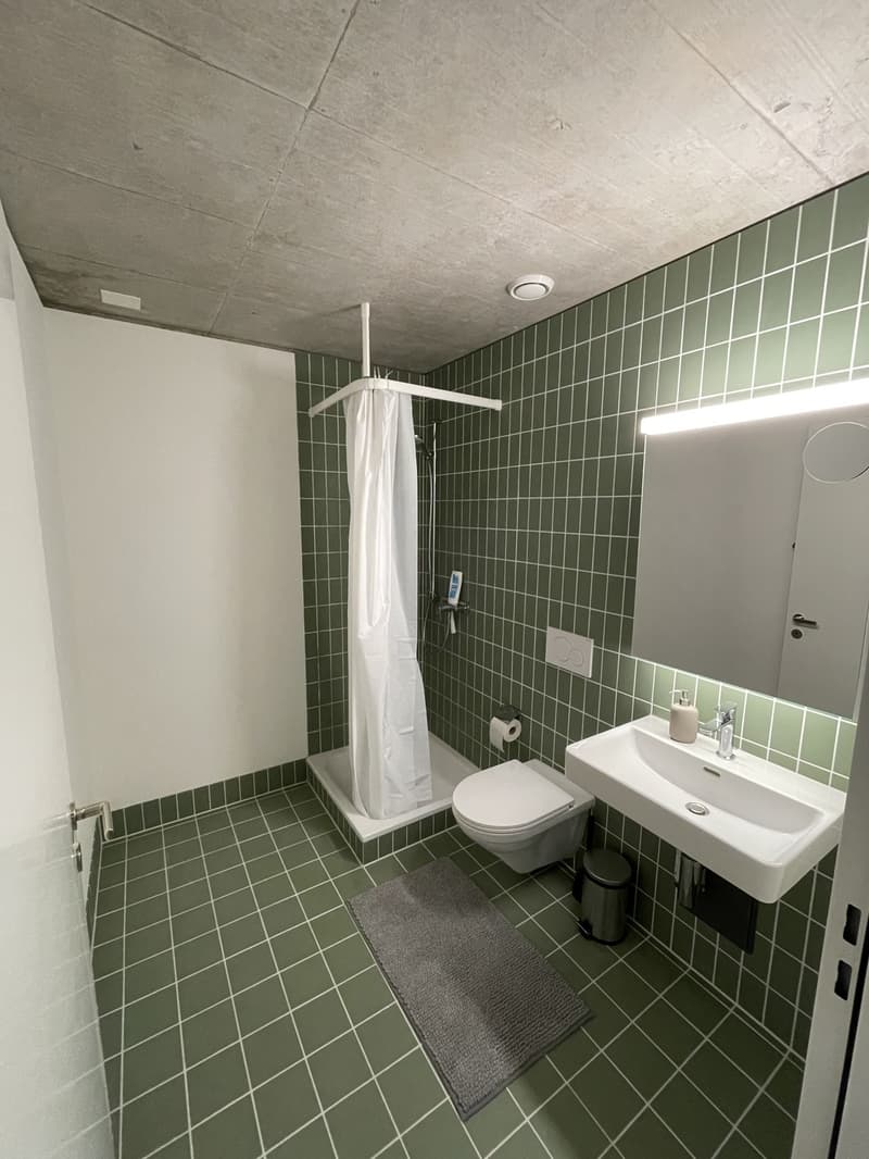 *Temporary 21.10 -20.12.26, 2 months, entire flat* (4)