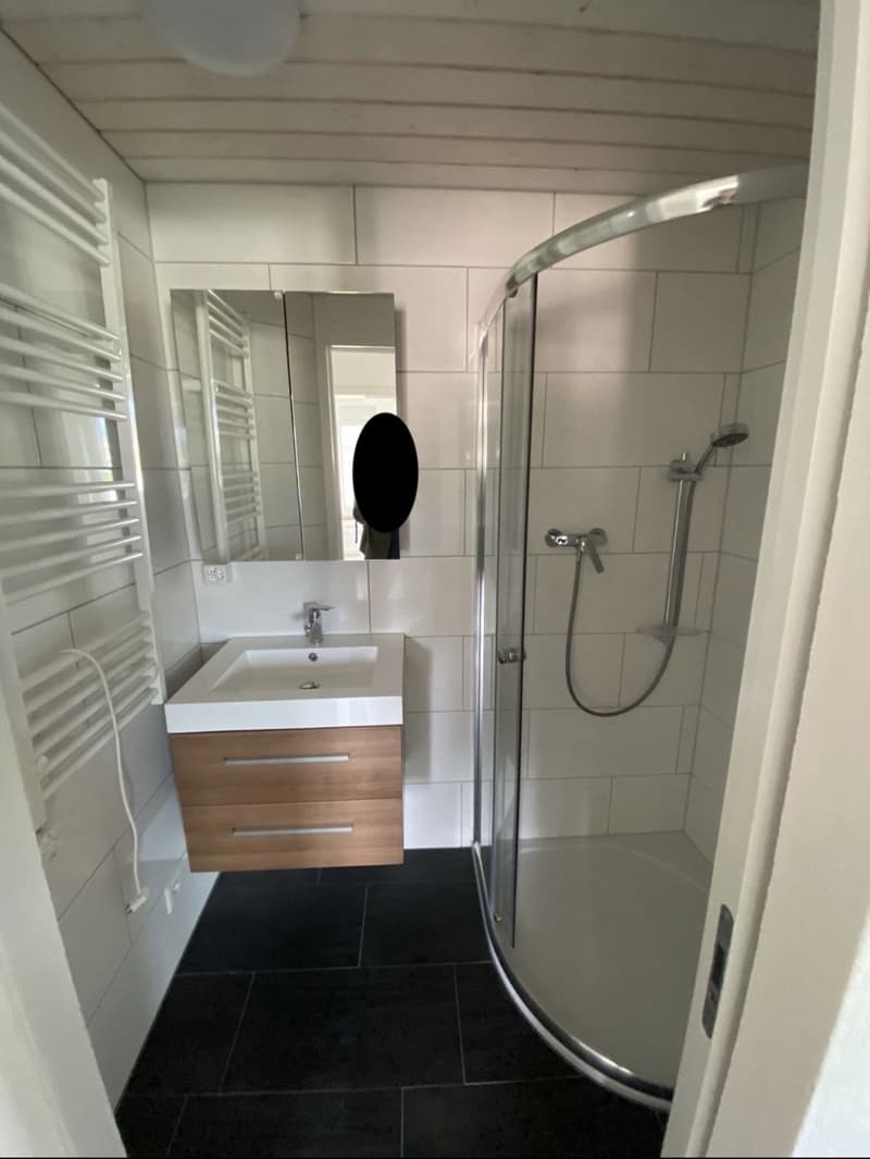 3.5-room apartment in St. Gallen (4)