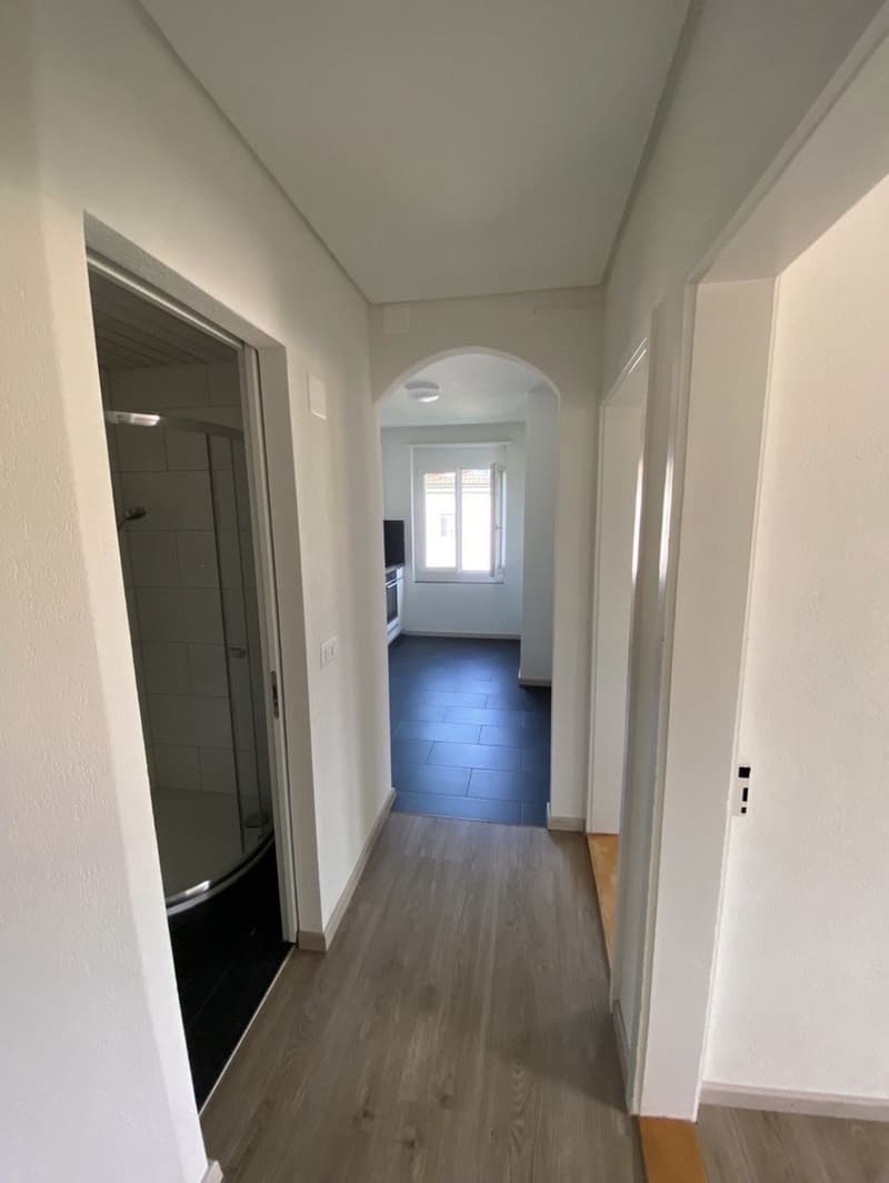 3.5-room apartment in St. Gallen (2)
